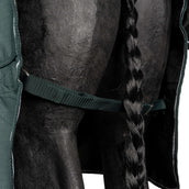 EQUITHÈME Tappeto da Esterno 600D Standard 150g Verde EQUITHÈME Tappeto da Esterno 600D Standard 150g Verde