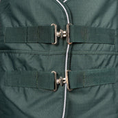 EQUITHÈME Tappeto da Esterno 600D Standard 150g Verde EQUITHÈME Tappeto da Esterno 600D Standard 150g Verde