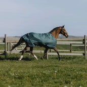 EQUITHÈME Tappeto da Esterno 600D Standard 150g Verde EQUITHÈME Tappeto da Esterno 600D Standard 150g Verde