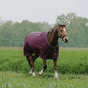 EQUITHÈME Tappeto da Esterno 1200D 150g Standard Borgogna EQUITHÈME Tappeto da Esterno 1200D 150g Standard Borgogna