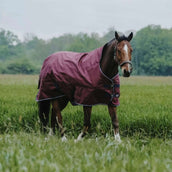 EQUITHÈME Tappeto da Esterno 1200D 0g High Neck Borgogna EQUITHÈME Tappeto da Esterno 1200D 0g High Neck Borgogna