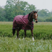 EQUITHÈME Tappeto da Esterno 1200D 0g High Neck Borgogna EQUITHÈME Tappeto da Esterno 1200D 0g High Neck Borgogna