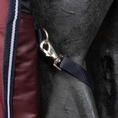 EQUITHÈME Tappeto da Esterno 1200D 0g High Neck Borgogna EQUITHÈME Tappeto da Esterno 1200D 0g High Neck Borgogna