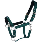 Agradi Horse Capezzina Athletic Fir Green Agradi Horse Capezzina Athletic Fir Green