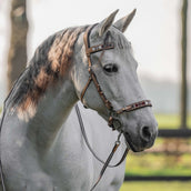 F.R.A. Briglia senza Morso Esprit Natura F.R.A. Briglia senza Morso Esprit Natura