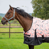 HB Tappeto da Esterno Mr. Squeez Pesca HB Tappeto da Esterno Mr. Squeez Pesca