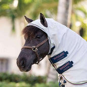 Amigo Felpa con cappuccio Ripstop Petite Argento/Lime/Blu marino/Rosa/Blu Amigo Felpa con cappuccio Ripstop Petite Argento/Lime/Blu marino/Rosa/Blu