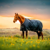 Amigo Ripstop 900D Pony 100g Marina di Witney Amigo Ripstop 900D Pony 100g Marina di Witney