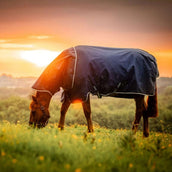 Amigo Ripstop 900D Plus Pony 0g Marina di Witney Amigo Ripstop 900D Plus Pony 0g Marina di Witney