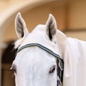 Rambo Hoody XL Gesso/verde cacciatore/argento Rambo Hoody XL Gesso/verde cacciatore/argento