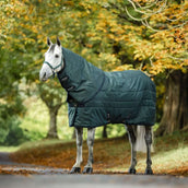 Amigo Copricollo Ripstip Insulator Stable 200g Dynasty Green/Navy/Silver Amigo Copricollo Ripstip Insulator Stable 200g Dynasty Green/Navy/Silver