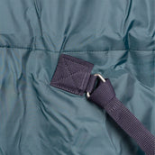 WeatherBeeta ComFiTec Plus Dynamic Turnout Detach-A-Neck 220 g Forest Green/Navy WeatherBeeta ComFiTec Plus Dynamic Turnout Detach-A-Neck 220 g Forest Green/Navy