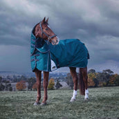 WeatherBeeta ComFiTec Plus Dynamic Turnout Detach-A-Neck 220 g Forest Green/Navy WeatherBeeta ComFiTec Plus Dynamic Turnout Detach-A-Neck 220 g Forest Green/Navy