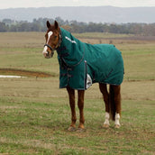 WeatherBeeta ComFiTec Plus Dynamic Turnout Detach-A-Neck 100g Forest Green/Navy WeatherBeeta ComFiTec Plus Dynamic Turnout Detach-A-Neck 100g Forest Green/Navy