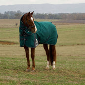 WeatherBeeta ComFiTec Plus Dynamic Turnout Detach-A-Neck 0g Forest Green/Navy WeatherBeeta ComFiTec Plus Dynamic Turnout Detach-A-Neck 0g Forest Green/Navy