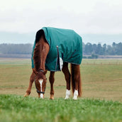 WeatherBeeta ComFiTec Plus Dynamic Turnout High Neck 220 g Forest Green/Navy WeatherBeeta ComFiTec Plus Dynamic Turnout High Neck 220 g Forest Green/Navy