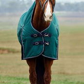 WeatherBeeta ComFiTec Plus Dynamic Turnout High Neck 220 g Forest Green/Navy WeatherBeeta ComFiTec Plus Dynamic Turnout High Neck 220 g Forest Green/Navy