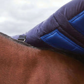 WeatherBeeta ComFiTec Plus Dynamic Turnout High Neck 220 g Navy/Forest Green WeatherBeeta ComFiTec Plus Dynamic Turnout High Neck 220 g Navy/Forest Green