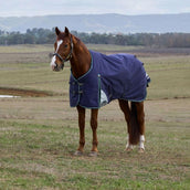 WeatherBeeta ComFiTec Plus Dynamic Turnout 100g Navy/Forest Green WeatherBeeta ComFiTec Plus Dynamic Turnout 100g Navy/Forest Green