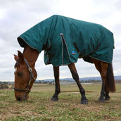 WeatherBeeta ComFiTec Classic Turnout Combo 50 g Forest Green/Black WeatherBeeta ComFiTec Classic Turnout Combo 50 g Forest Green/Black