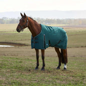 WeatherBeeta ComFiTec Classic Turnout 220 g Forest Green/Black WeatherBeeta ComFiTec Classic Turnout 220 g Forest Green/Black