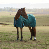 WeatherBeeta ComFiTec Classic Turnout 220 g Forest Green/Black WeatherBeeta ComFiTec Classic Turnout 220 g Forest Green/Black