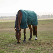 WeatherBeeta ComFiTec Classic Turnout 220 g Forest Green/Black WeatherBeeta ComFiTec Classic Turnout 220 g Forest Green/Black