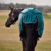 WeatherBeeta ComFiTec Classic Turnout 50 g Forest Green/Black WeatherBeeta ComFiTec Classic Turnout 50 g Forest Green/Black