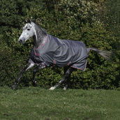 Bucas Freedom Turnout Light 0g Smoke Grey Bucas Freedom Turnout Light 0g Smoke Grey