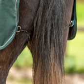 Agradi Horse Coperta da esercizio 1200D Bordo Riflettente Verde Agradi Horse Coperta da esercizio 1200D Bordo Riflettente Verde