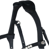 Kavalkade Briglia Caliano Via Nero/Argento Kavalkade Briglia Caliano Via Nero/Argento