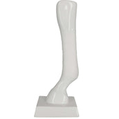 Kerbl Benda Adesiva Bianco Kerbl Benda Adesiva Bianco