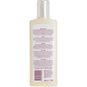 Gottlieb Balsamo Gottlieb Balsamo