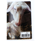 Excellent Colstart Plus Excellent Colstart Plus