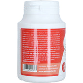 Animavital MSM/Glucosamina Animavital MSM/Glucosamina