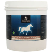 Synovium Argilla e fresco Synovium Argilla e fresco