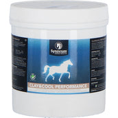 Synovium Argilla e fresco Synovium Argilla e fresco