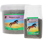 Vanilia Alga islandese Vanilia Alga islandese