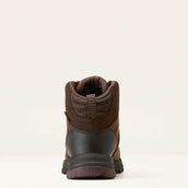Ariat Scarpe da outdoor Skyline Mid Waterproof Donne Marrone Cioccolato Ariat Scarpe da outdoor Skyline Mid Waterproof Donne Marrone Cioccolato