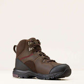Ariat Scarpe da outdoor Skyline Mid Waterproof Donne Marrone Cioccolato Ariat Scarpe da outdoor Skyline Mid Waterproof Donne Marrone Cioccolato