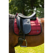 BR Sottosella CLX Dressage Cabernet BR Sottosella CLX Dressage Cabernet