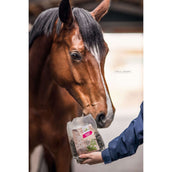 Bense & Eicke Dolcetti per Cavalli Wiesen Happies Bense & Eicke Dolcetti per Cavalli Wiesen Happies