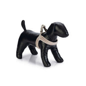 Designed by Lotte Pettorina per Cane Velura Grigio Designed by Lotte Pettorina per Cane Velura Grigio
