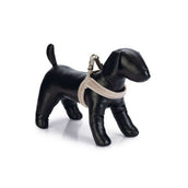 Designed by Lotte Pettorina per Cane Velura Grigio Designed by Lotte Pettorina per Cane Velura Grigio