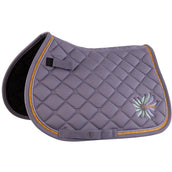 BR Sottosella Mini Horse Cadetto BR Sottosella Mini Horse Cadetto