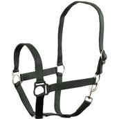 Premiere Capezzina Soft Economic Green Gables Premiere Capezzina Soft Economic Green Gables