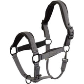 BR Capezzina Fedde Ombra tranquilla BR Capezzina Fedde Ombra tranquilla