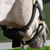 Birth Alarm Avviso di nascita Birth Alarm Avviso di nascita