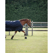 Dominick Tappeto da Esterno Turnout Lite 0g Blu marino/bianco Dominick Tappeto da Esterno Turnout Lite 0g Blu marino/bianco