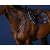 Dyon Pettorina Long Bridge Marrone/Argento Dyon Pettorina Long Bridge Marrone/Argento